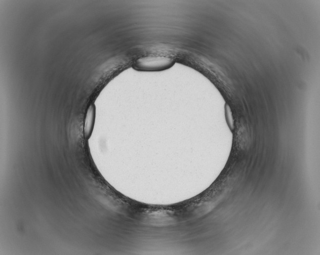 X0000110880407200907301438