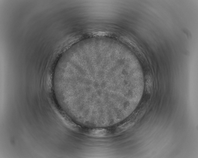 X0000110880410200907301438