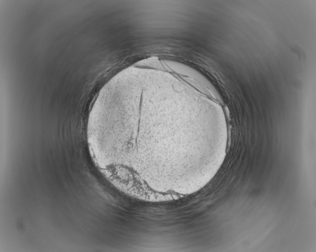 X0000110880411200907301438