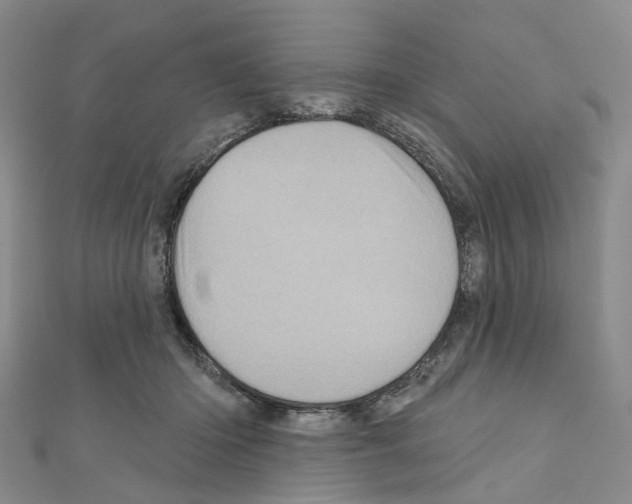 X0000110880414200907301438