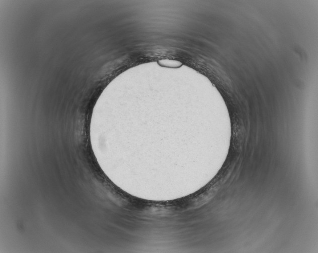 X0000110880416200907301438