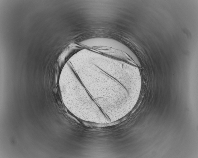 X0000110880417200907301438