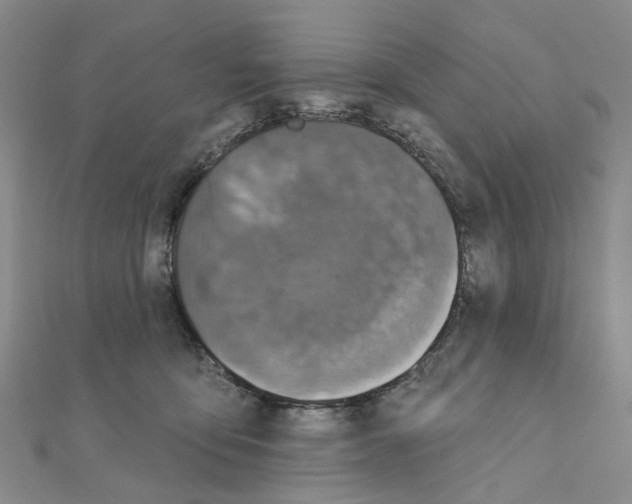 X0000110880419200907301438