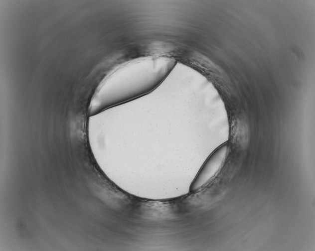 X0000110880421200907301438