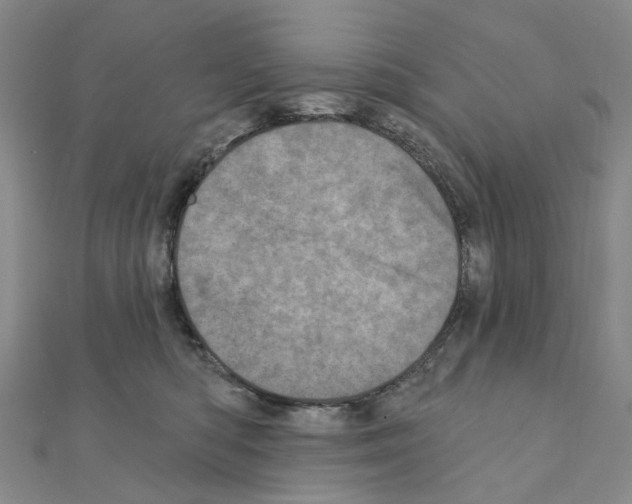 X0000110880422200907301438