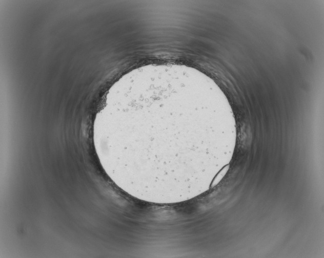 X0000110880424200907301438