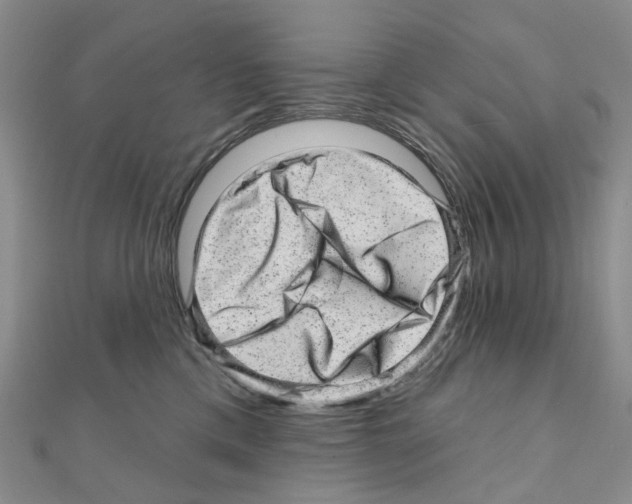 X0000110880425200907301438