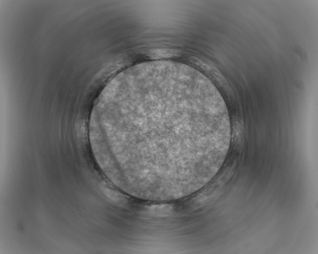 X0000110880426200907301438