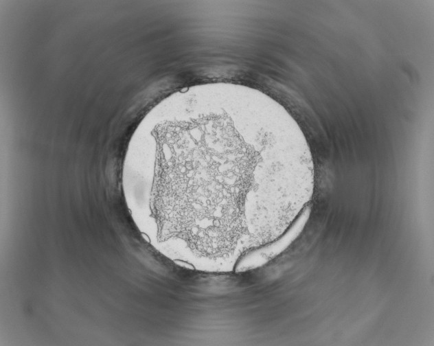 X0000110880428200907301438