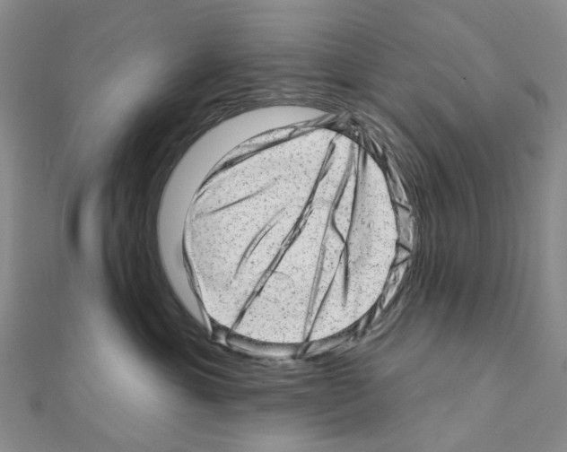 X0000110880429200907301438