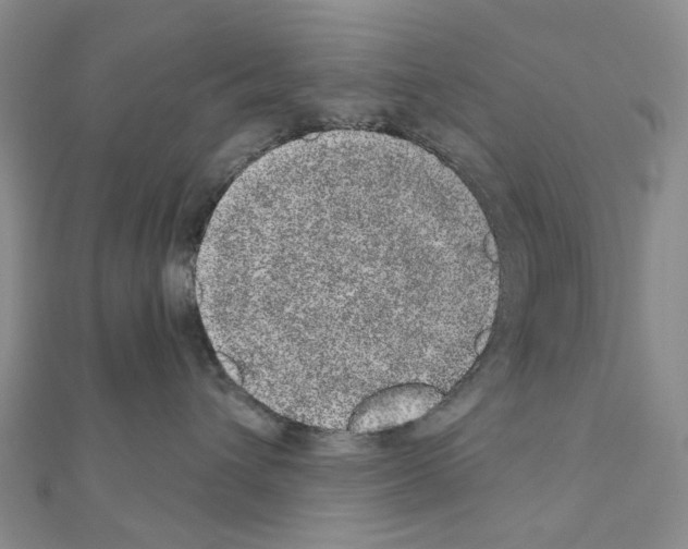 X0000110880432200907301438