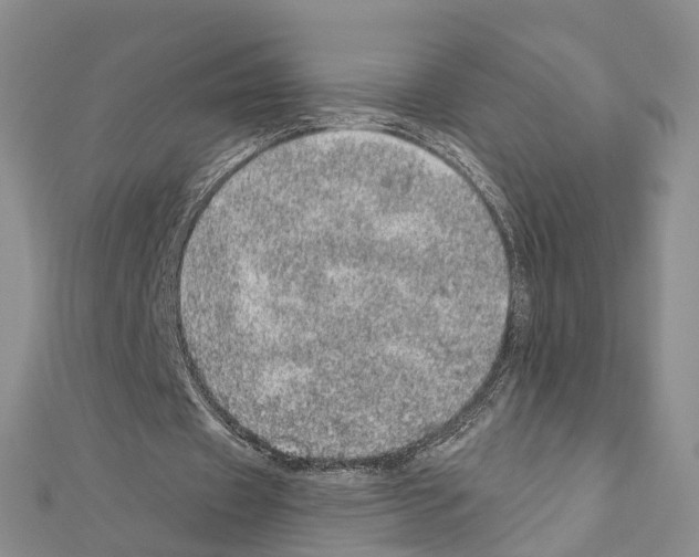 X0000110880433200907301437