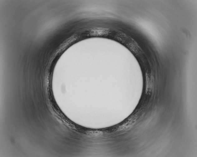 X0000110880435200907301437