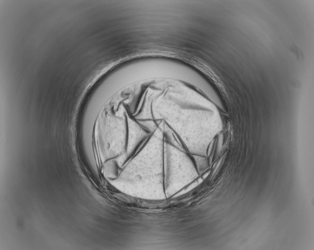 X0000110880436200907301437