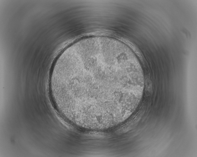 X0000110880437200907301437