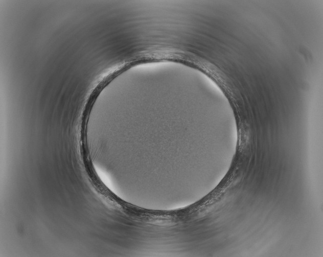 X0000110880438200907301437