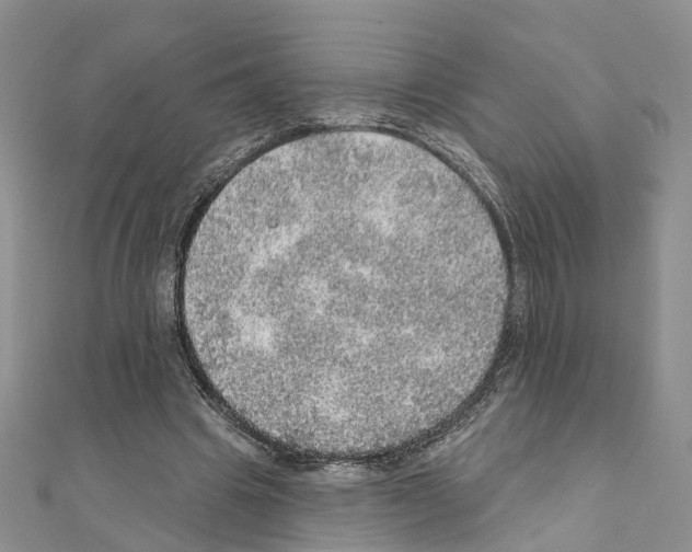 X0000110880441200907301437