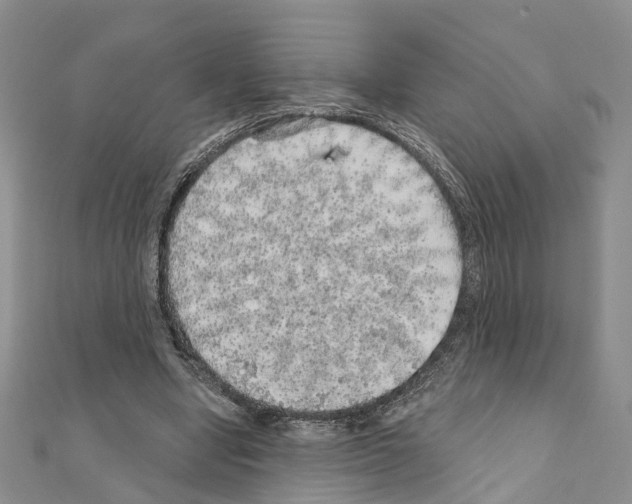 X0000110880442200907301437