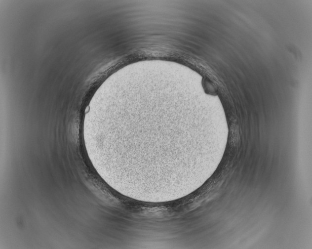 X0000110880446200907301437