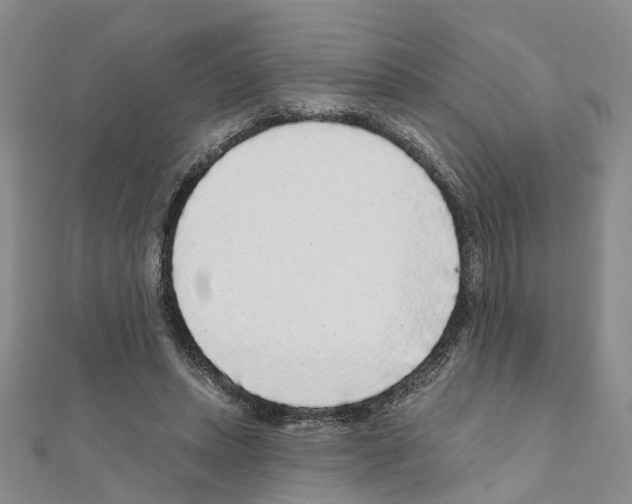 X0000110880447200907301437