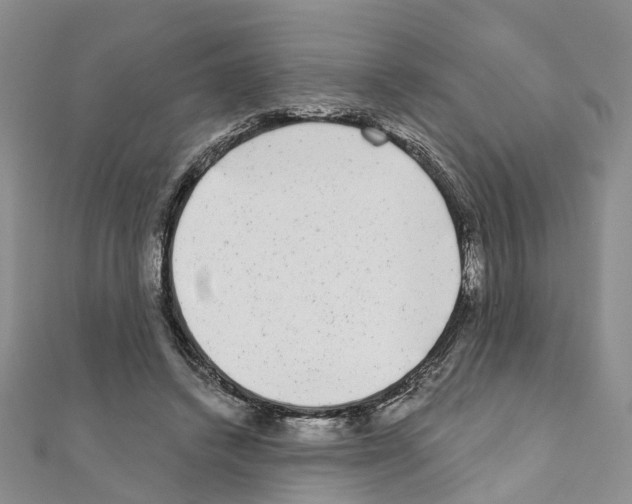 X0000110880448200907301437