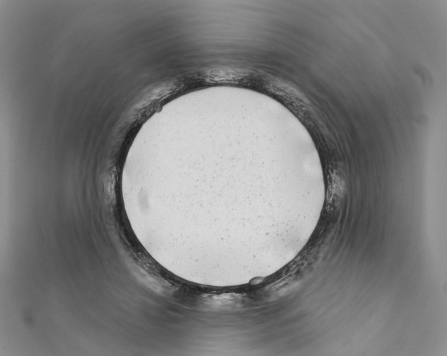 X0000110880452200907301437