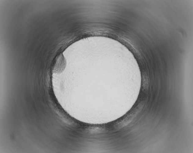 X0000110880453200907301437