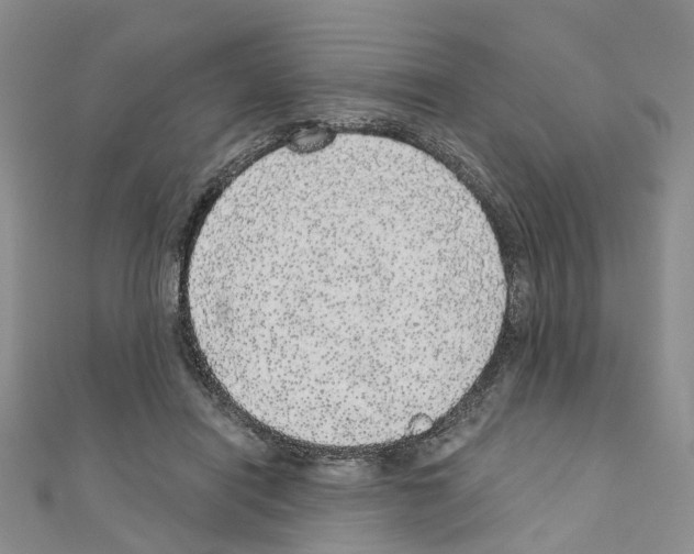 X0000110880454200907301437