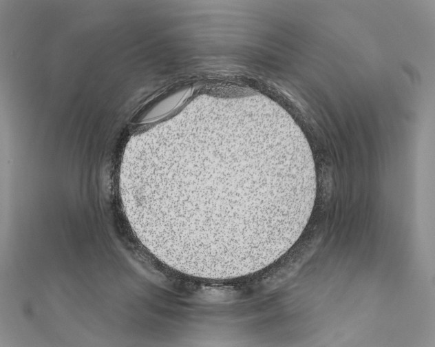 X0000110880455200907301437