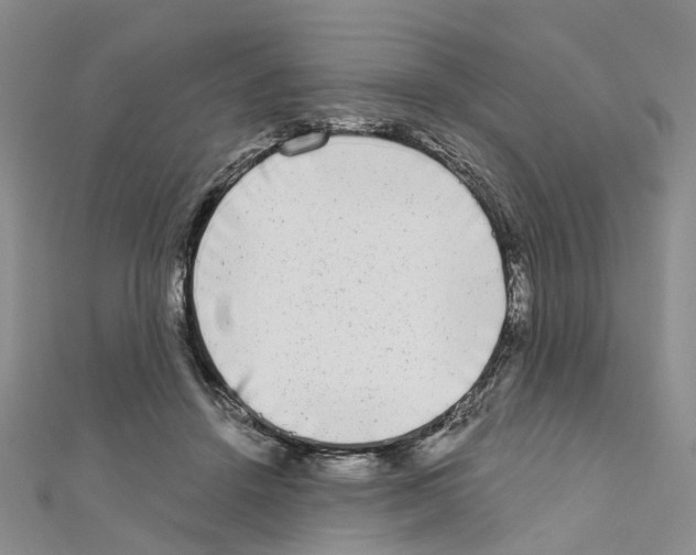 X0000110880456200907301437