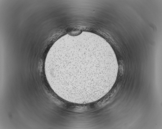 X0000110880458200907301437