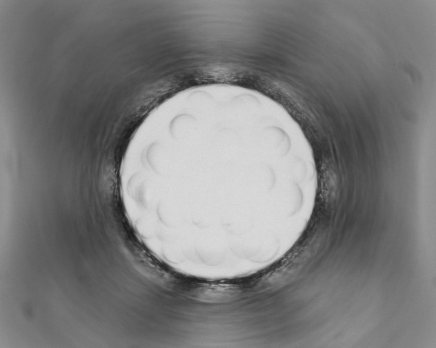 X0000110880459200907301437