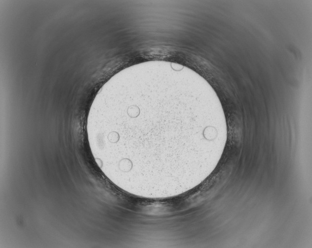 X0000110880460200907301438