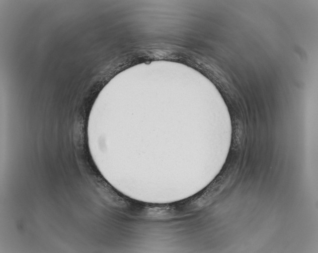 X0000110880461200907301438