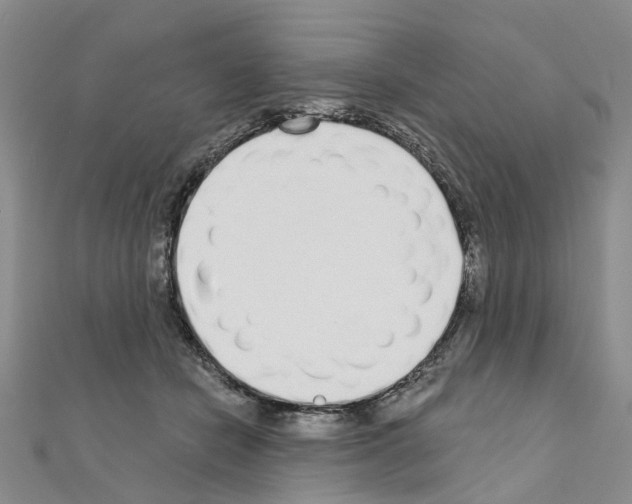 X0000110880462200907301438