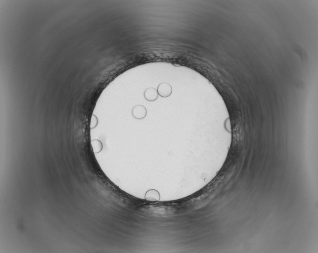 X0000110880464200907301438