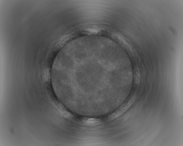 X0000110880467200907301438