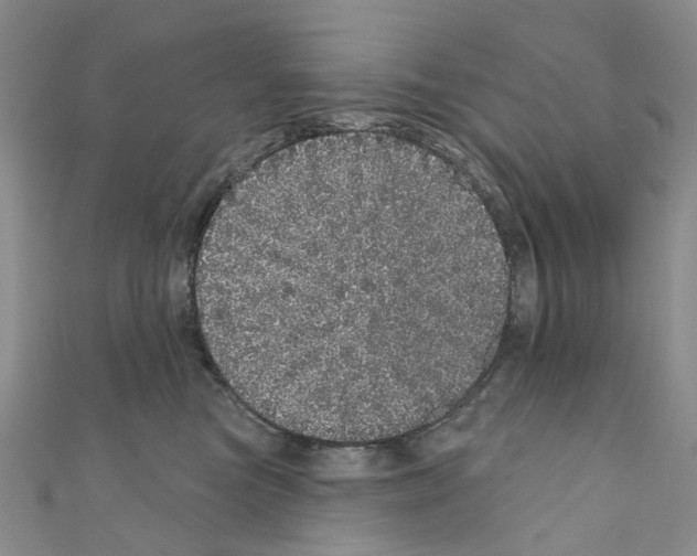 X0000110880473200907301438