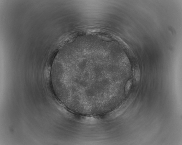 X0000110880475200907301438