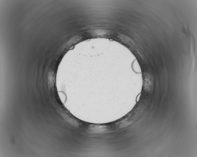 X0000110880476200907301438