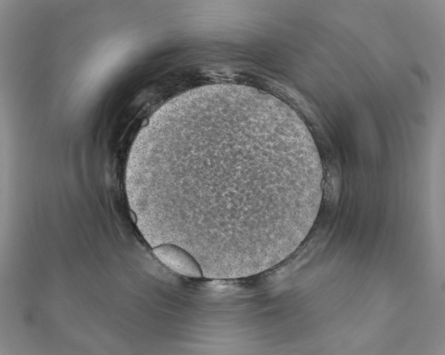 X0000110880477200907301438