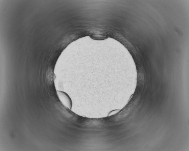 X0000110880479200907301438