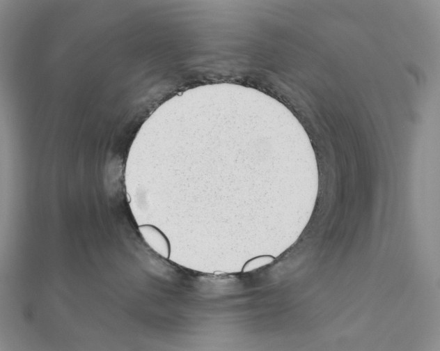 X0000110880480200907301438