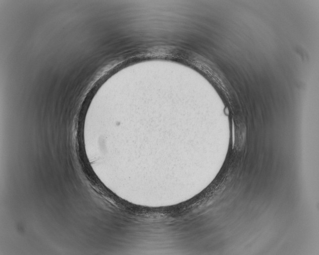 X0000110880483200907301437