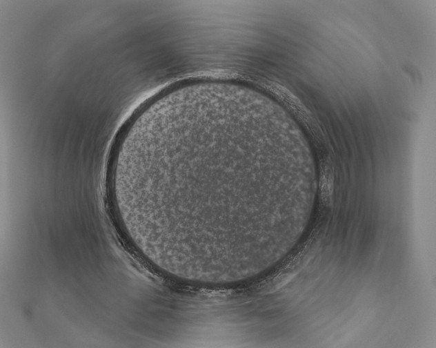 X0000110880484200907301437