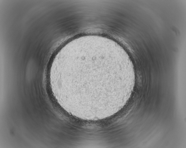 X0000110880487200907301437