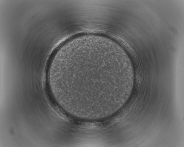 X0000110880488200907301437