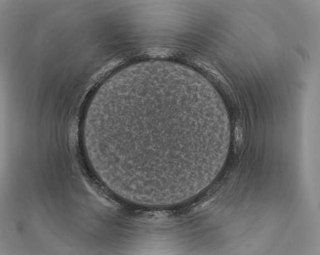 X0000110880492200907301437