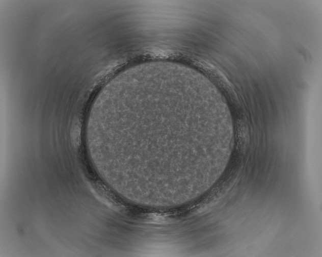 X0000110880496200907301437