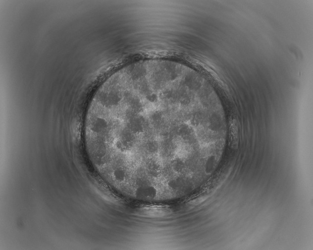 X0000110880499200907301437